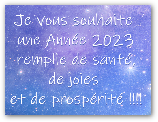 voeux2023a.png